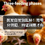 脱发白发别乱补!肾亏分阴阳,辨证调理才有效(图2) 脱发白发别乱补!肾亏分阴阳,辨证调理才有效(图2)