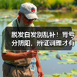 脱发白发别乱补!肾亏分阴阳,辨证调理才有效(图3) 脱发白发别乱补!肾亏分阴阳,辨证调理才有效(图3)