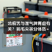 齿痕舌与湿气脾胃虚有关?喝毛尖茶分体质+调理指南(图3) 齿痕舌与湿气脾胃虚有关?喝毛尖茶分体质+调理指南(图3)