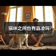 猫咪之间也有霸凌吗?(图2) 猫咪之间也有霸凌吗?(图2)