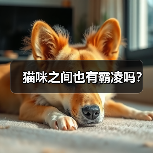 猫咪之间也有霸凌吗?(图4) 猫咪之间也有霸凌吗?(图4)