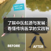 了解中医起源与发展：看懂传统医学的实践智慧(图3)