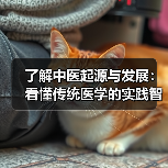 了解中医起源与发展：看懂传统医学的实践智慧(图4)