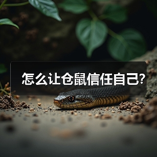 怎么让仓鼠信任自己?(图3) 怎么让仓鼠信任自己?(图3)