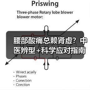腰部酸痛总赖肾虚？中医辨型+科学应对指南