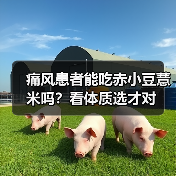 痛风患者能吃赤小豆薏米吗？看体质选才对