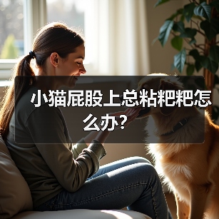 小猫屁股上总粘粑粑怎么办?(图2) 小猫屁股上总粘粑粑怎么办?(图2)