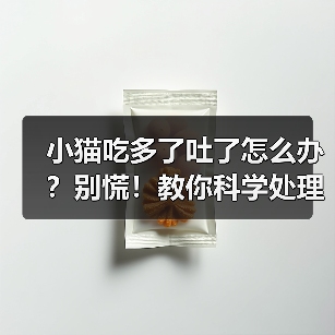 小猫吃多了吐了怎么办？别慌！教你科学处理(图2)