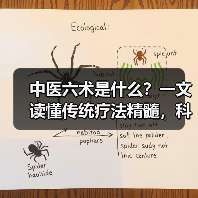 中医六术是什么?一文读懂传统疗法精髓,科学选调理方式(图1) 中医六术是什么?一文读懂传统疗法精髓,科学选调理方式(图1)