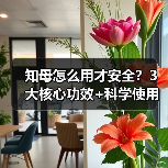 知母怎么用才安全?3大核心功效+科学使用指南(图3) 知母怎么用才安全?3大核心功效+科学使用指南(图3)