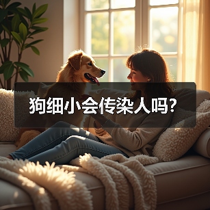 狗细小会传染人吗?(图4) 狗细小会传染人吗?(图4)