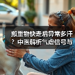 搬重物快走后异常多汗?中医解析气虚信号与调理方案(图3) 搬重物快走后异常多汗?中医解析气虚信号与调理方案(图3)