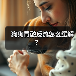 狗狗胃酸反流怎么缓解?(图1) 狗狗胃酸反流怎么缓解?(图1)