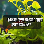 中医治疗天疱疮如何控病情降复发?(图2) 中医治疗天疱疮如何控病情降复发?(图2)