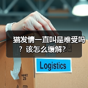 猫发情一直叫是难受吗?该怎么缓解?(图4) 猫发情一直叫是难受吗?该怎么缓解?(图4)