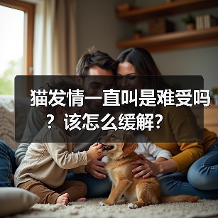 猫发情一直叫是难受吗?该怎么缓解?(图3) 猫发情一直叫是难受吗?该怎么缓解?(图3)