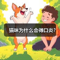 猫咪为什么会得口炎?(图1) 猫咪为什么会得口炎?(图1)