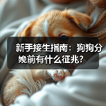 新手接生指南:狗狗分娩前有什么征兆?(图4) 新手接生指南:狗狗分娩前有什么征兆?(图4)