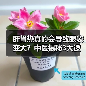肝肾热真的会导致眼袋变大?中医揭秘3大逻辑(图4) 肝肾热真的会导致眼袋变大?中医揭秘3大逻辑(图4)