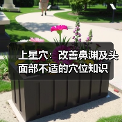 上星穴:改善鼻渊及头面部不适的穴位知识(图3) 上星穴:改善鼻渊及头面部不适的穴位知识(图3)