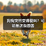 狗狗突然变得爱叫?可能是这些原因(图3) 狗狗突然变得爱叫?可能是这些原因(图3)
