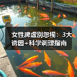 女性脾虚别忽视:3大诱因+科学调理指南(图2) 女性脾虚别忽视:3大诱因+科学调理指南(图2)