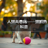 人猫共患病——猫抓热科普(图4) 人猫共患病——猫抓热科普(图4)