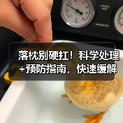 落枕别硬扛!科学处理+预防指南,快速缓解少复发(图3) 落枕别硬扛!科学处理+预防指南,快速缓解少复发(图3)