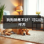 狗狗肠胃不好?可以这样养(图2) 狗狗肠胃不好?可以这样养(图2)