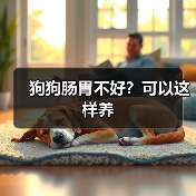 狗狗肠胃不好?可以这样养(图3) 狗狗肠胃不好?可以这样养(图3)