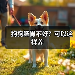 狗狗肠胃不好?可以这样养(图4) 狗狗肠胃不好?可以这样养(图4)