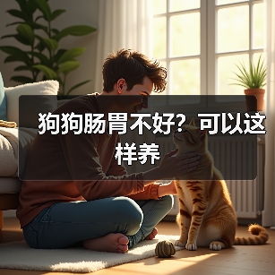 狗狗肠胃不好?可以这样养(图1) 狗狗肠胃不好?可以这样养(图1)