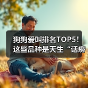 狗狗爱叫排名TOP5!这些品种是天生“话痨”(图4) 狗狗爱叫排名TOP5!这些品种是天生“话痨”(图4)