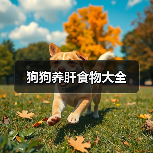 狗狗养肝食物大全(图2) 狗狗养肝食物大全(图2)