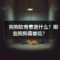狗狗软骨素是什么?哪些狗狗需要吃?(图4) 狗狗软骨素是什么?哪些狗狗需要吃?(图4)