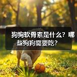 狗狗软骨素是什么?哪些狗狗需要吃?(图3) 狗狗软骨素是什么?哪些狗狗需要吃?(图3)