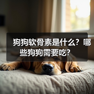 狗狗软骨素是什么?哪些狗狗需要吃?(图2) 狗狗软骨素是什么?哪些狗狗需要吃?(图2)
