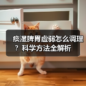 痰湿脾胃虚弱怎么调理?科学方法全解析(图4) 痰湿脾胃虚弱怎么调理?科学方法全解析(图4)