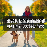 菊花枸杞茶真的能护眼补肝吗?3大好处与饮用禁忌全解析(图2) 菊花枸杞茶真的能护眼补肝吗?3大好处与饮用禁忌全解析(图2)
