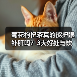 菊花枸杞茶真的能护眼补肝吗?3大好处与饮用禁忌全解析(图3) 菊花枸杞茶真的能护眼补肝吗?3大好处与饮用禁忌全解析(图3)
