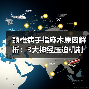 颈椎病手指麻木原因解析:3大神经压迫机制(图1) 颈椎病手指麻木原因解析:3大神经压迫机制(图1)