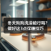 冬天狗狗洗澡能行吗?做好这3点保暖技巧(图1) 冬天狗狗洗澡能行吗?做好这3点保暖技巧(图1)