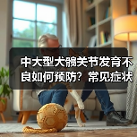 中大型犬髋关节发育不良如何预防?常见症状早发现早干预(图2) 中大型犬髋关节发育不良如何预防?常见症状早发现早干预(图2)
