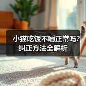 小猫吃饭不嚼正常吗?纠正方法全解析(图3) 小猫吃饭不嚼正常吗?纠正方法全解析(图3)