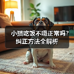 小猫吃饭不嚼正常吗?纠正方法全解析(图2) 小猫吃饭不嚼正常吗?纠正方法全解析(图2)