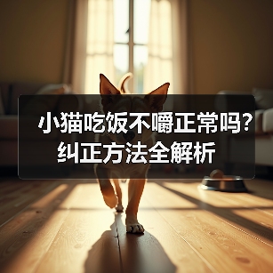 小猫吃饭不嚼正常吗?纠正方法全解析(图4) 小猫吃饭不嚼正常吗?纠正方法全解析(图4)