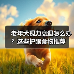 老年犬视力衰退怎么办?这些护眼食物推荐(图2) 老年犬视力衰退怎么办?这些护眼食物推荐(图2)