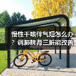 慢性干咳伴气短怎么办?调肺脾肾三脏能改善吗?(图3) 慢性干咳伴气短怎么办?调肺脾肾三脏能改善吗?(图3)