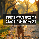 狗狗频繁甩头甩耳朵?别忽视这些潜在疾病!(图2) 狗狗频繁甩头甩耳朵?别忽视这些潜在疾病!(图2)