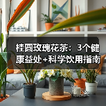 桂圆玫瑰花茶:3个健康益处+科学饮用指南(图2) 桂圆玫瑰花茶:3个健康益处+科学饮用指南(图2)